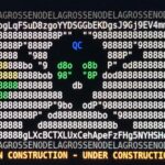 an ascii rainbow pirate flag from a randomly encountered nomadnet site